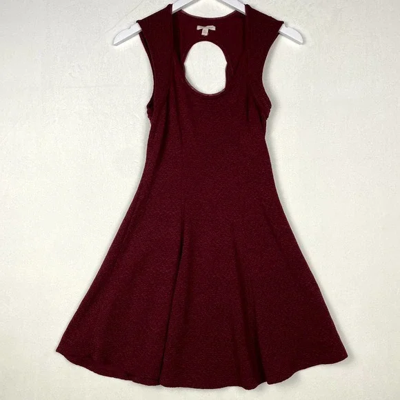 silence + noise | Dresses | Silence Noise Womens Size S Burgundy Sleeveless  Scoop Neck Skater Mini Dress | Poshmark